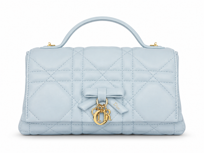 My Tender Dior Top Handle Mini Bag