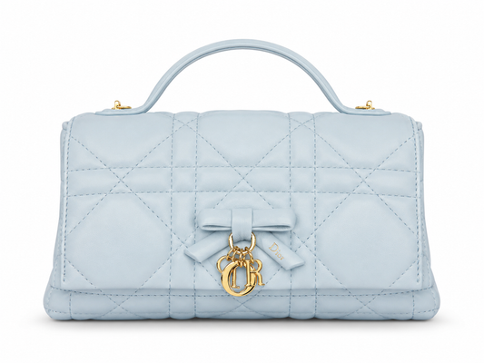 My Tender Dior Top Handle Mini Bag