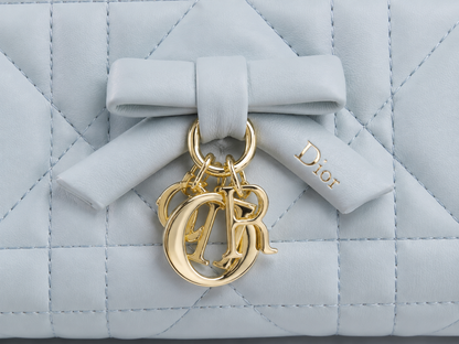 My Tender Dior Top Handle Mini Bag
