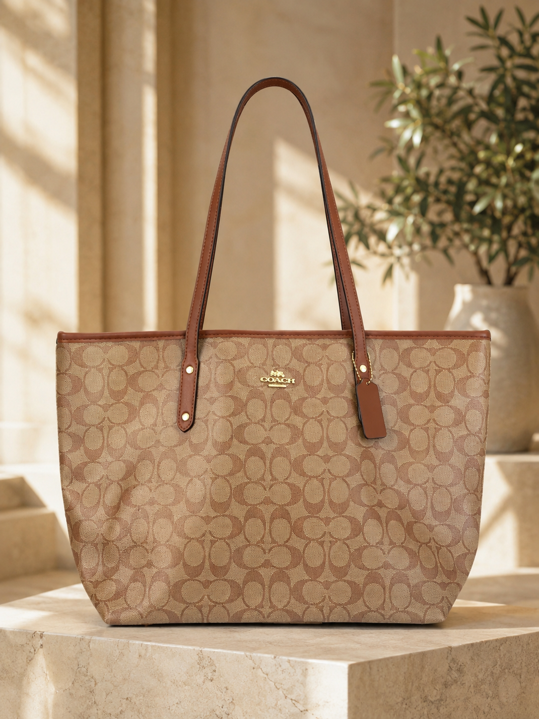 Coach Large Signature Canvas Tote Bag